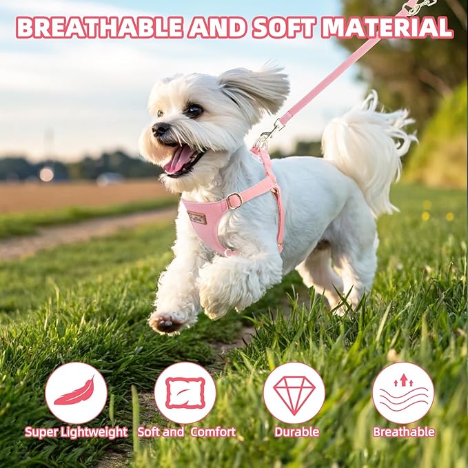 PUPTECK Dog Harness and Leash Set Small Sized, Step-in Cute Puppy Harness, Soft Lightweight Padded Vest, Escape Proof No Pull Pet Harnesses Easy for Walking, Pink, M