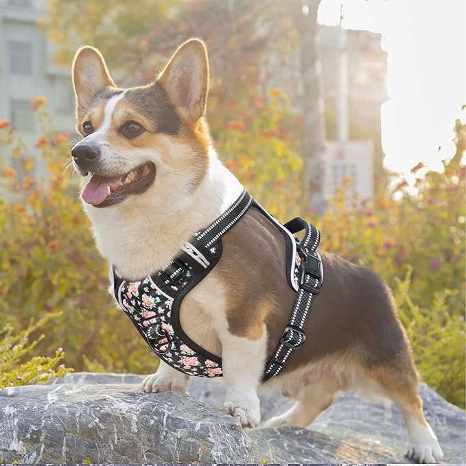 Timos Dog Harness, No-Pull Pet Harness with 2 Leash Clips, 3 Snap Buckles Adjustable Soft Padded Dog Vest, Reflective No-Choke Pet Oxford Vest with Easy Control Handle for Small Medium Large Dogs