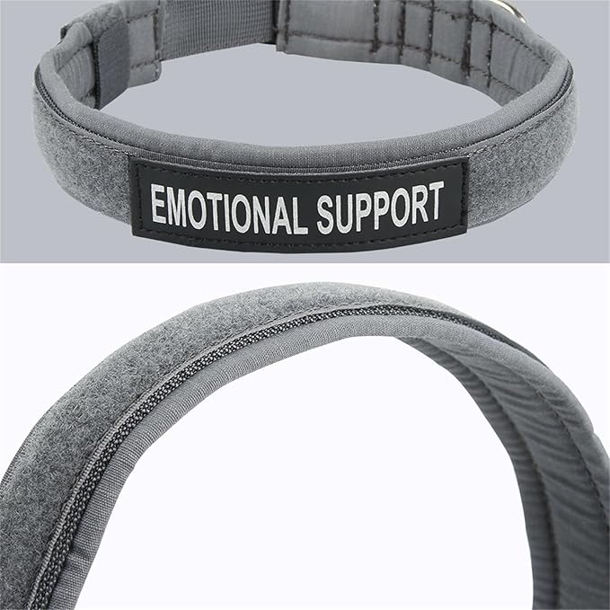 EXCELLENT ELITE SPANKER Puppy Dog Collar - Nylon Adjustable, Soft Padded for Small Dogs