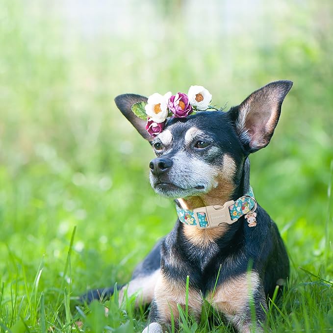 DOGWONG Easter Dog Collar - Cute Flower Bunny Eggs Pink Adjustable Collar for Medium Dogs