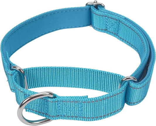 SGODA Martingale Dog Collar, Reflective Nylon Padded Dog Training Collars for Medium Dogs, Blue M