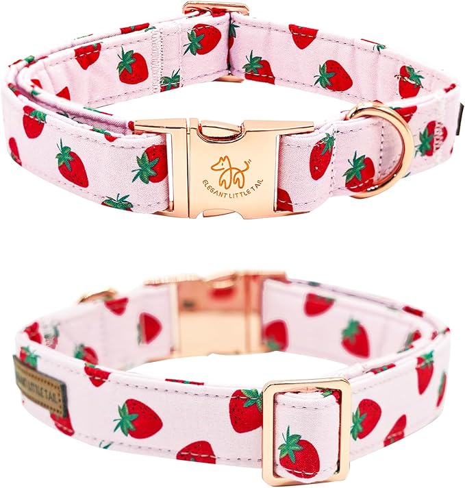 Elegant little tail Dog Collar, Strawberries Print Pet Collar Summer Dog Collar Durable Metal Buckle Dog Collars Cotton Pet Adjustable Dog Collars for X-Small Dogs