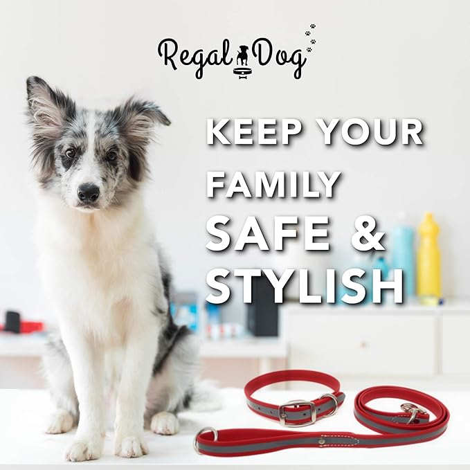 Regal Dog Products Medium Red Reflective Dog Collar and Leash Set - Waterproof Biothane Dog Collar with Heavy Duty Double Buckle, D Ring & 5ft Leash - Other Size for Medium & Large Dogs