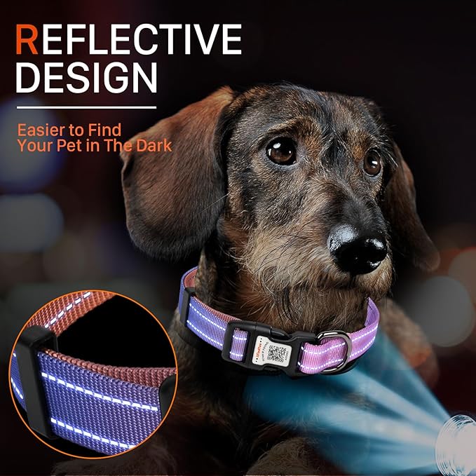 Reflective Dog Collars for Puppy Soft Nylon Pink-Orange Gradient Sized XS