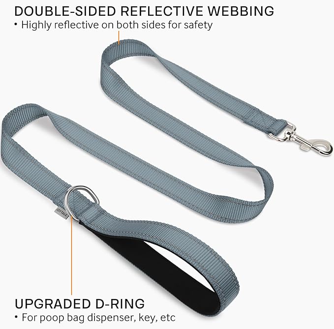 Joytale Double-Sided Reflective Dog Leash, 6 FT/5 FT/4 FT, Padded Handle Nylon Heavy Duty Leashes for Medium & Large Dogs Walking, Gray, 5FT