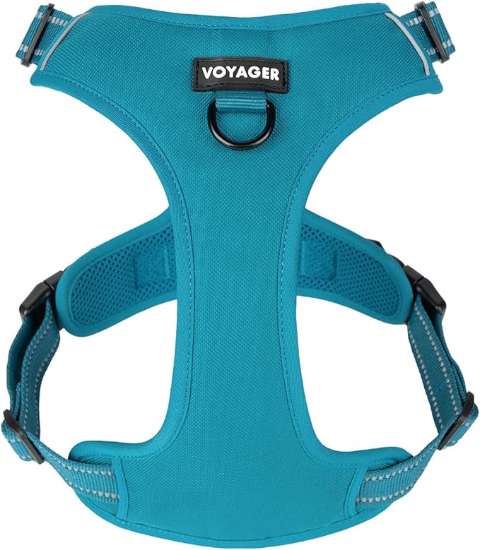 No Pull Dog Harness for Large Dogs, Dual Leash Attachments, Adjustable Soft but Strong Pet Harness with 3M Reflective Technology, Turquoise Nylon, L (Chest: 25-30")