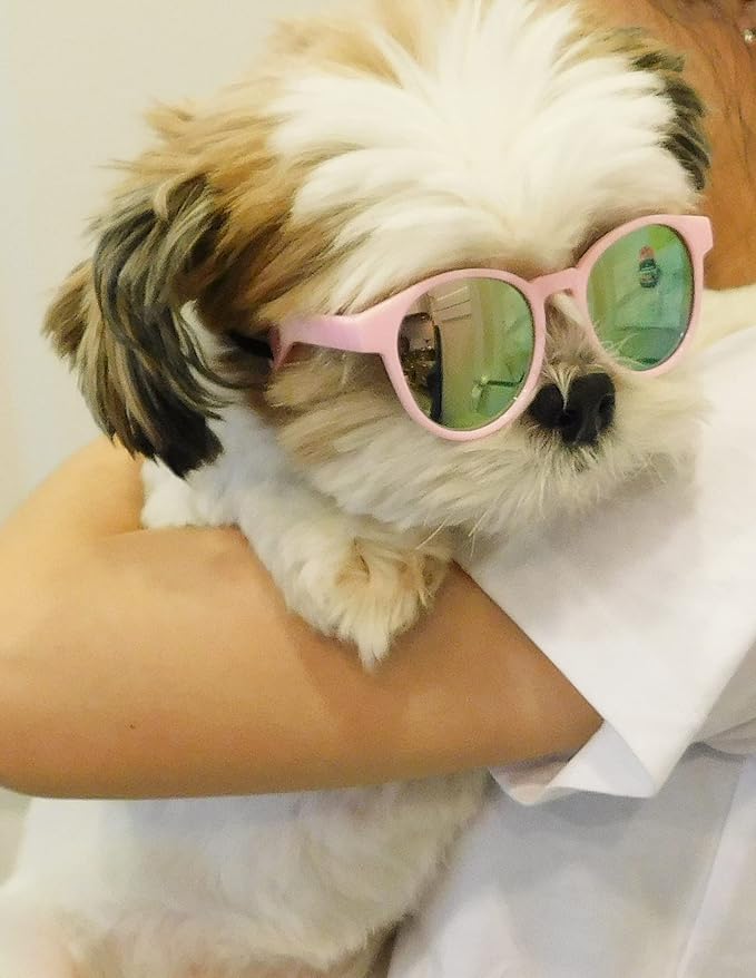 G014 Dog Cat Pet Panto Round Sunglasses for Small Breeds up to 15lbs (Panto Pink-Pink Mirror)