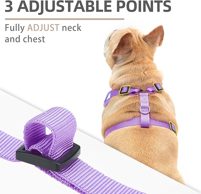PUPTECK Dog Harness and Leash Set for Small Medium Dogs No Pull, Soft Mesh Adjustable Puppy Cat Harness Reflective at Night, Purple M