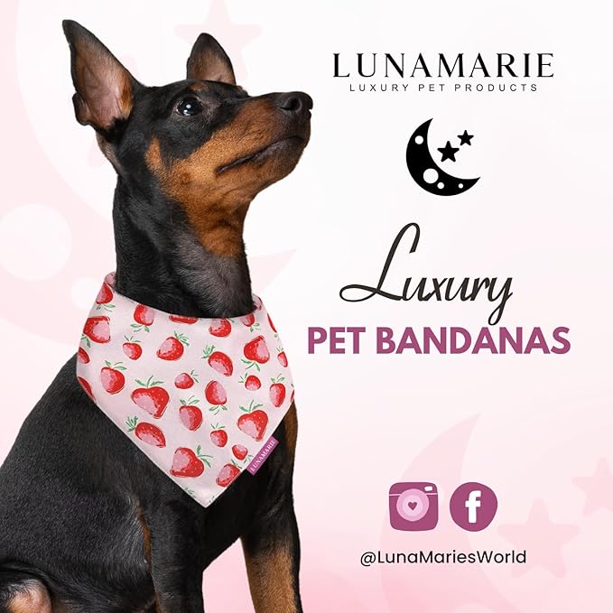 Luxury Pet Birthday Bandanas -Premium & Silky Poly Fabric | 100% Handmade | Custom Shape Dual Layered (Strawberry, Small)