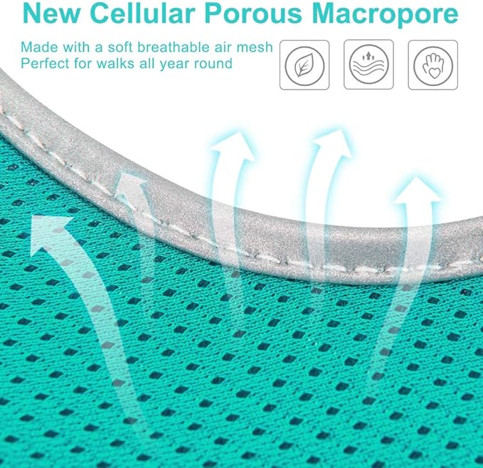 Dog Harness and Leash Set- Adjustable Reflective Step in Harness for Small Dogs Medium Size Dogs- No Pull No Choke Soft Mesh Comfort Dog Vest Harness (L, Lake Blue)