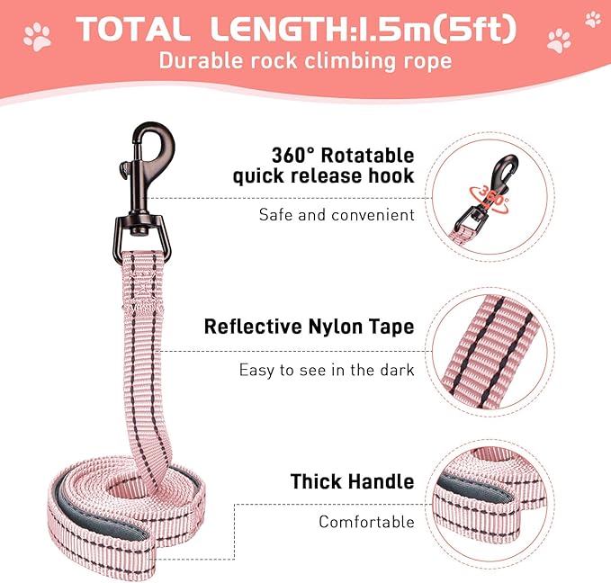 Soft Mesh Dog Harness and Leash Set, No Pull Puppy Harness and Leash Set, Reflective Step in Harness for Small Medium Dogs, Easy Walk Escape Proof Vest Harnesses (Pink, XXS)