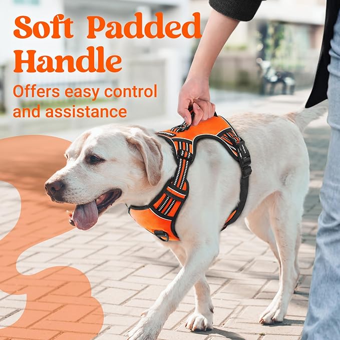 rabbitgoo Dog Harness Medium Sized, No Pull Pet Harness with Soft Padded Handle, Adjustable Reflective Vest with 3 Buckles, Easy Walking Harness with 2 Leash Clips, Orange, XL