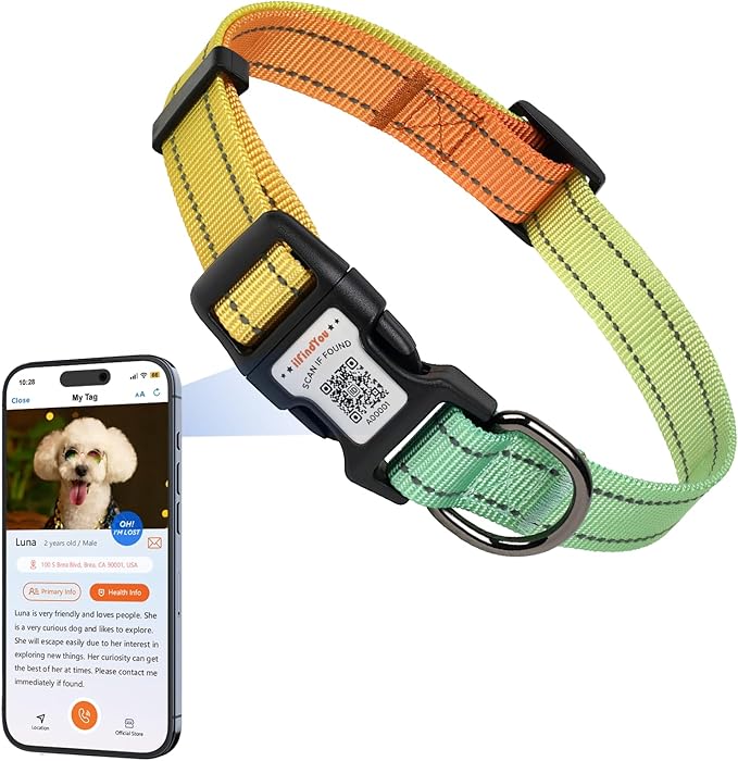 Reflective Dog Collars for Puppy Soft Nylon Green-Orange Gradient Sized XS