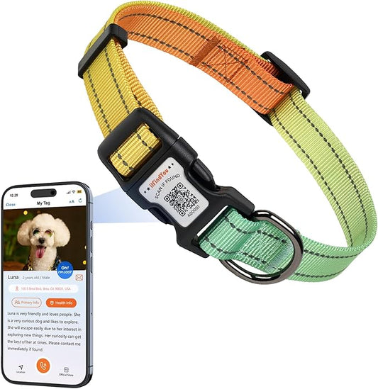 Reflective Dog Collars for Medium Dogs Soft Nylon Green-Orange Gradient Sized S