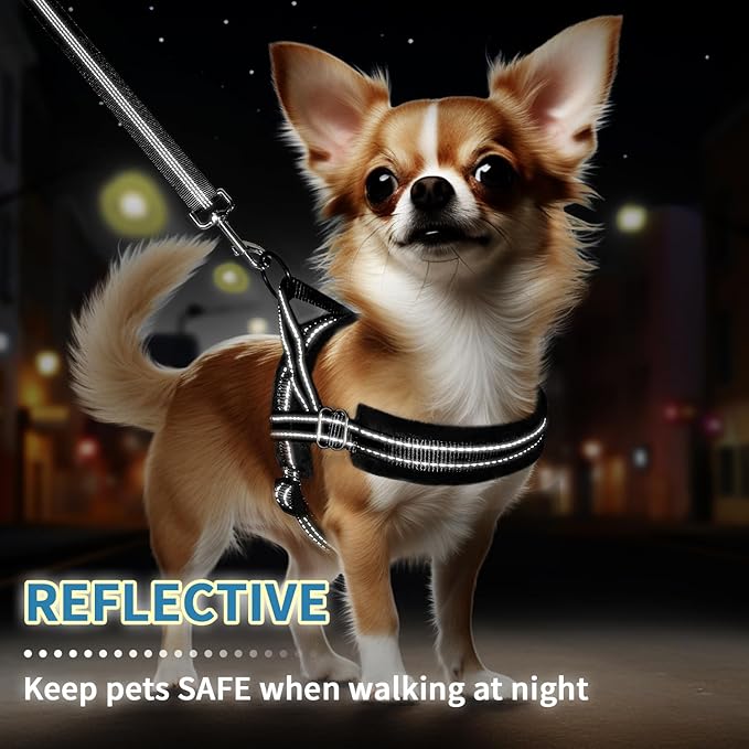 SlowTon No Pull Small Dog Harness and Leash Set, Puppy Soft Vest Harness Neck & Chest Adjustable, Reflective Lightweight & Anti-Twist Pet Lead Combo for Small Medium Dogs (Black, M)