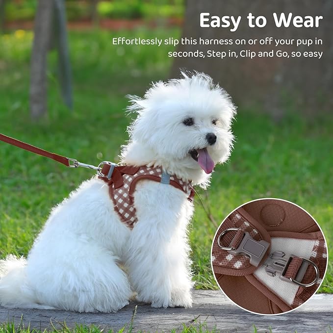Gyuzh Dog Harness and Leash Set,Soft Mesh Breathable Small Dog Harness,Reflective Adjustable Puppy Harness,No Pull Pet Harness for Small Dogs and Cats