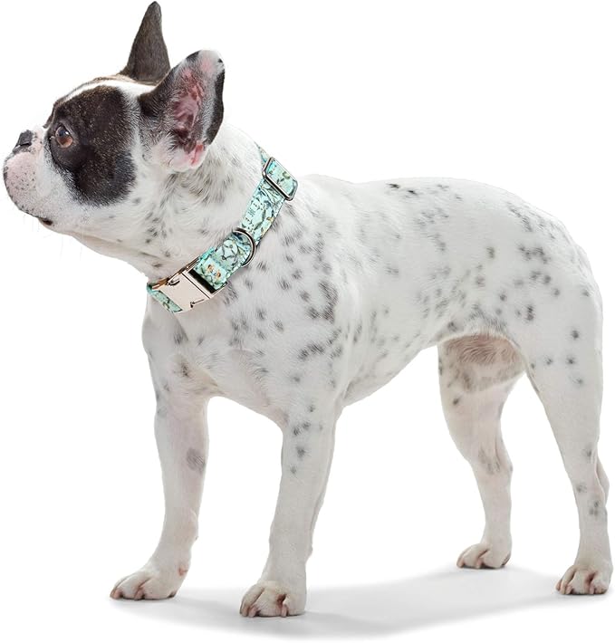 Timos Dog Collar, Adjustable Soft Dog Collar for Small Medium Large Dogs, Patterned Puppy Collars with Quick Release Buckle for Boy and Girl Female Dogs (Light Cyan, Small)