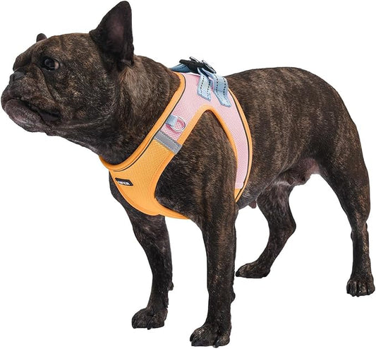 AMTOR Small Dog Harness with Leash Set, No Escape Easy Walk Puppy Harnesses for Training Walking, Step-in Reflective Soft Dogs Vest for XS S Medium Extra-Small Large Sized Dog(Orange)