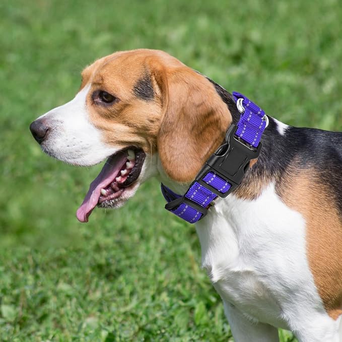 Reflective Martingale Dog Collars. Dog Collar with Quick Release Buckle. Adjustable Soft Padded Breathable Nylon Pet Collar Suitable for Puppies for Small Medium Large Dogs.
