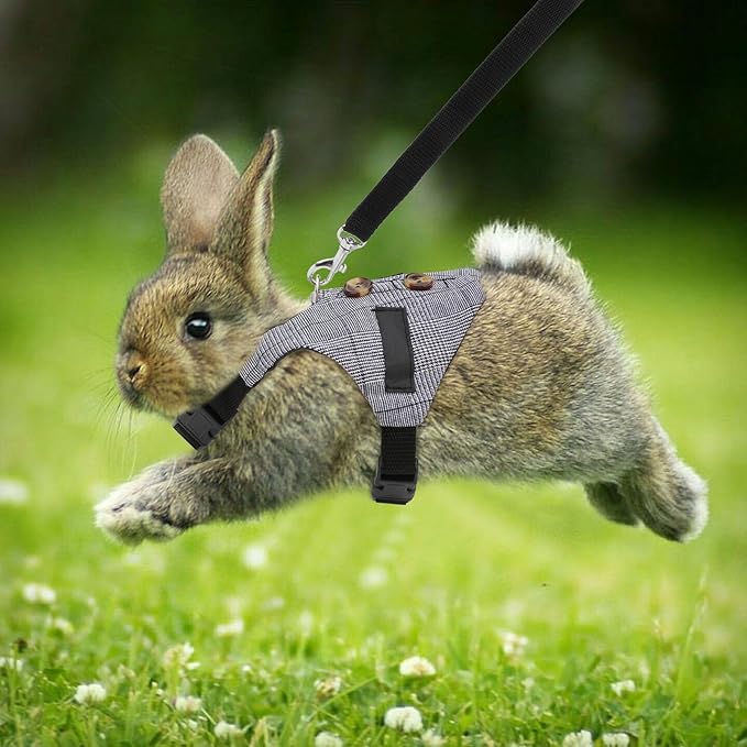 Rabbit Vest Harness and Leash Set Adjustable Formal Suit Style for Bunny Kitten Small Animal Walking (S)