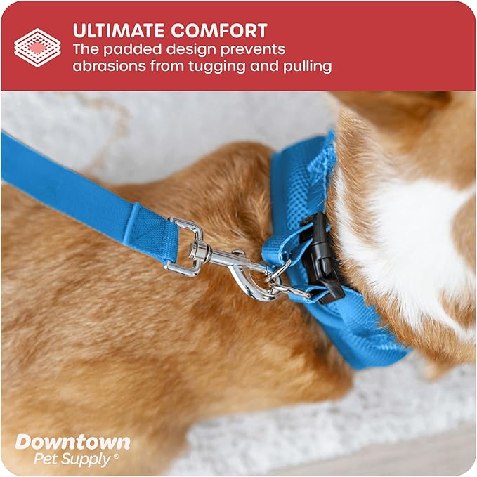 Downtown Pet Supply Step in Dog Harness for Small Dogs No Pull, Large, Cobalt - Adjustable Harness with Padded Mesh Fabric and Reflective Trim - Buckle Strap Harness for Dogs