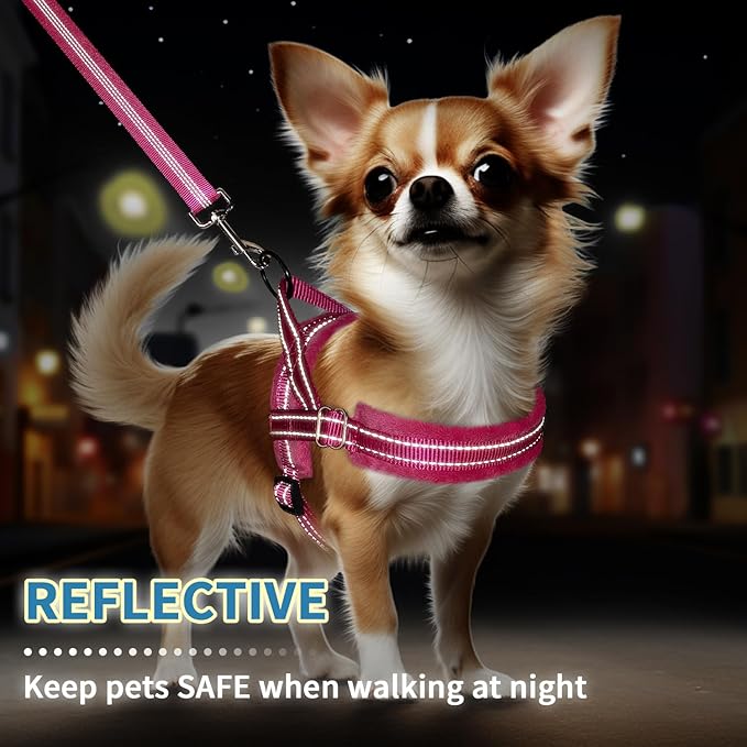 SlowTon No Pull Small Dog Harness and Leash Set, Puppy Soft Vest Harness Neck & Chest Adjustable, Reflective Lightweight Harness & Anti-Twist Pet Lead Combo for Small Medium Dogs (Fuchsia, S)