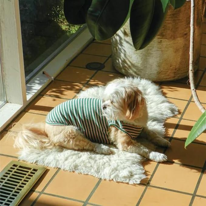 Little Beast Dog Clothes - Pet Clothes for Large, Medium, and Small Dogs (Dog Shirts Come in Multiple Colors and Styles) - Size: XX-Large Dogs, Multicolor