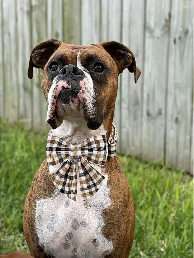 Unique style paws Christmas Dog Collar with Bow Tie Brown Plaid Puppy Collar for Small Medium Large Dogs as Autumn Winter Pet Gifts-L