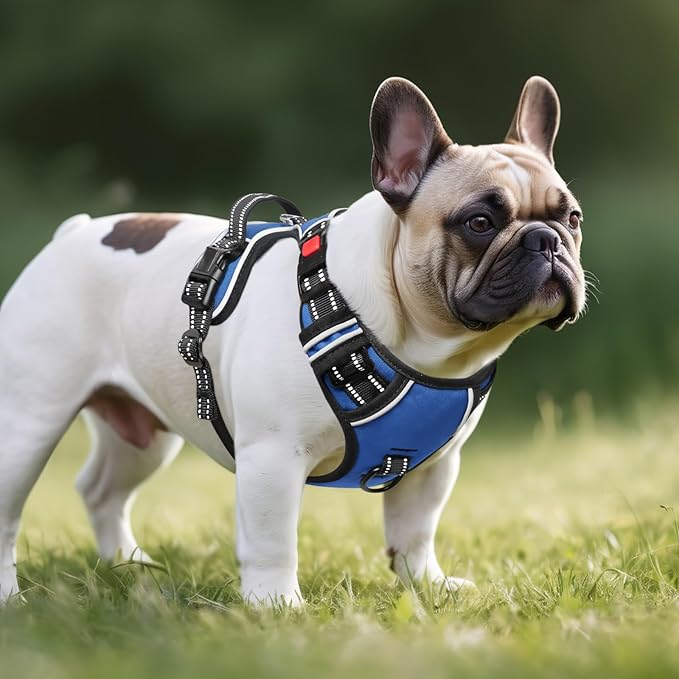 Timos Dog Harness Small Sized, No Pull with Neck Lockable Snap,No Choke Front Clip Dog Reflective Harness,Adjustable Metal Rings 3 Buckles,Easy Control Handle for Small Dogs Blue XS