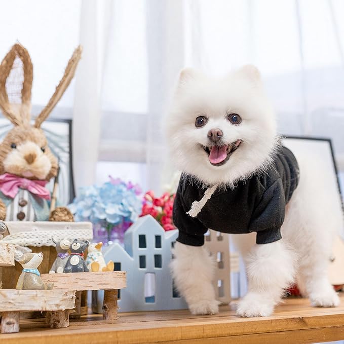 SCENEREAL Hoodie Sweater for Small Medium Large Dogs, Fleece Sweatshirt With Hat and Pocket, Soft Cotton Winter Clothes for S to XL Sizes, Black (S)