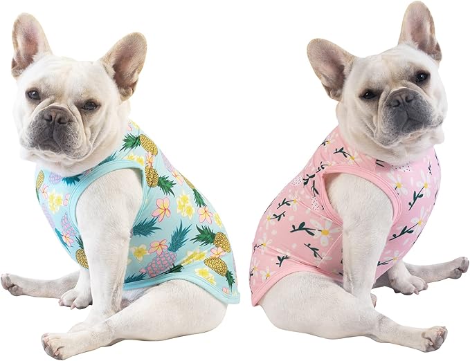 CuteBone Dog Shirts 2-Pack Soft Pet Clothes Breathable Summer Vest for Small Puppy and Stretchy Cat Apparel 2BX06L