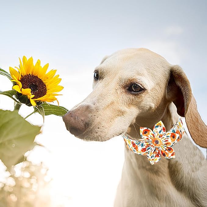 Lionheart glory Dog Collar Flowers Collar Floral Dog Collar with Flower Spring Summer Cute Collar Dog Boy or Girl Dog Collars Soft Durable Adjustable Dog Collars for Small Dogs