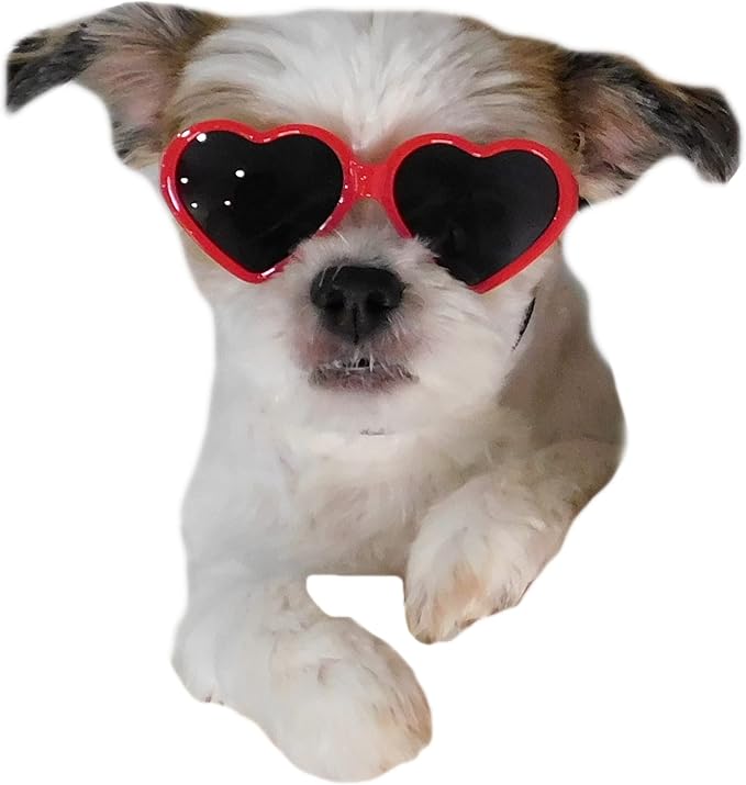 G016 Dog Small Breed up to 15lbs Puppy Cat Pet Heart Tiny Sunglasses (Heart Red)