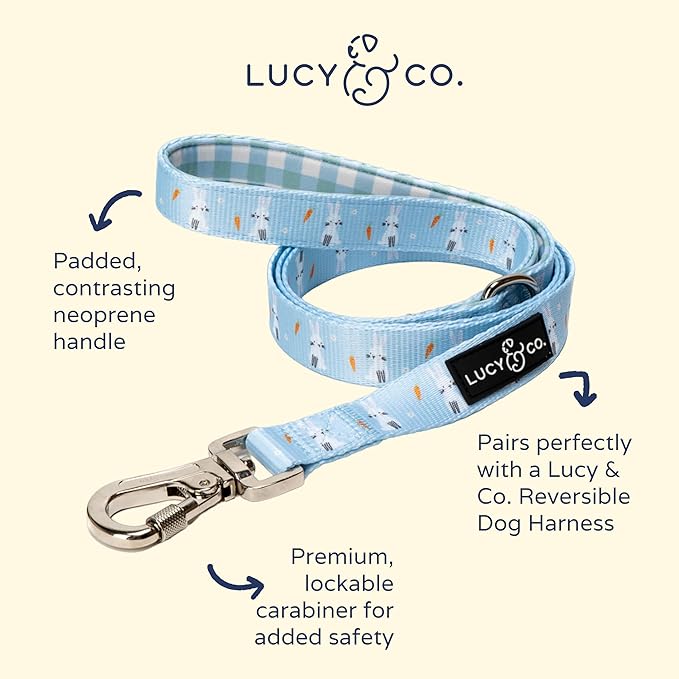Lucy & Co. Funny Bunny - Designer Dog Leash for Small to Large Dogs - Padded Handle for Comfort - Small, Blue Green Bunnies Plaid - 5 Foot