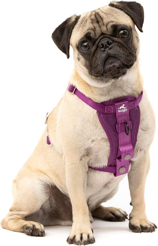 Kurgo Enhanced Strength Tru-Fit Smart Dog Harness, Deep Violet, Small - Crash Tested Car Safety Harness for Dogs, No Pull Dog Harness, Includes Pet Safety Seat Belt Tether, Steel Nesting Buckles