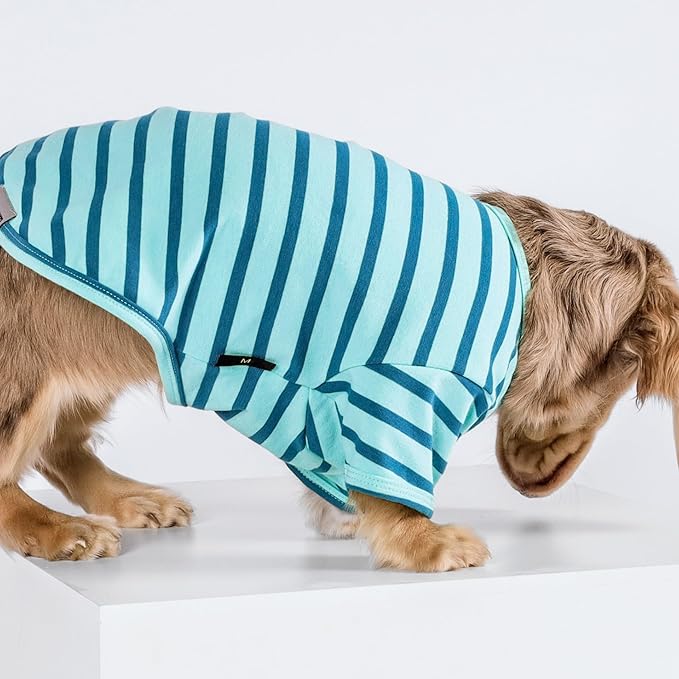 Fitwarm 3 Pack Color Block Striped Dog Shirt, Summer Dog Clothes for Small Dogs, Breathable Lightweight Pet Tshirt with Sleeves, Cat Outfit, Royal Blue, Gray, Teal, XXL