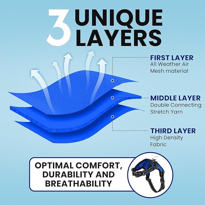 No Pull Reflective Adjustable Dog Harness With Handle- Comfortable Soft All Weather Mesh, Easy On Puppy Harness For Small Medium and Large Dogs (Blue) X-Small