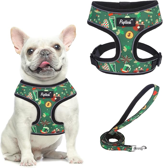PUPTECK Soft Mesh Dog Harness and Leash Set Pet Puppy Cat Comfort Padded Vest No Pull Harnesses, St. Patrick's Deep Green, M