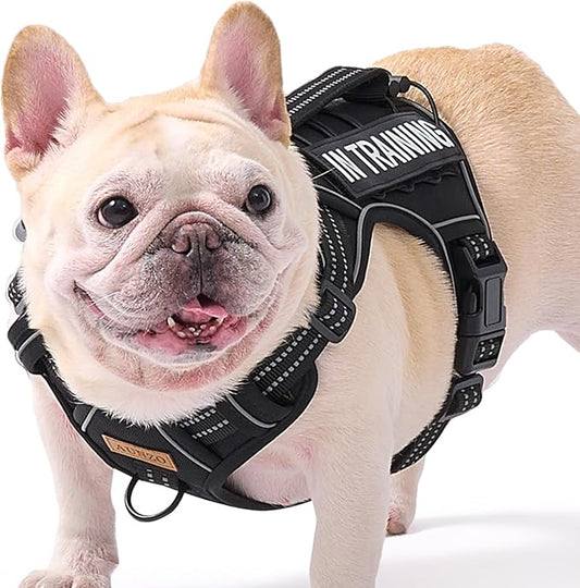 Dog Harness for Small Dog Breeds, Non Pulling Escape Proof Black Reflective Puppy Vest Harness with Handle, No Choke, Adjustable and Soft Padded, for Easy Walking and Training for Small Sized Dogs