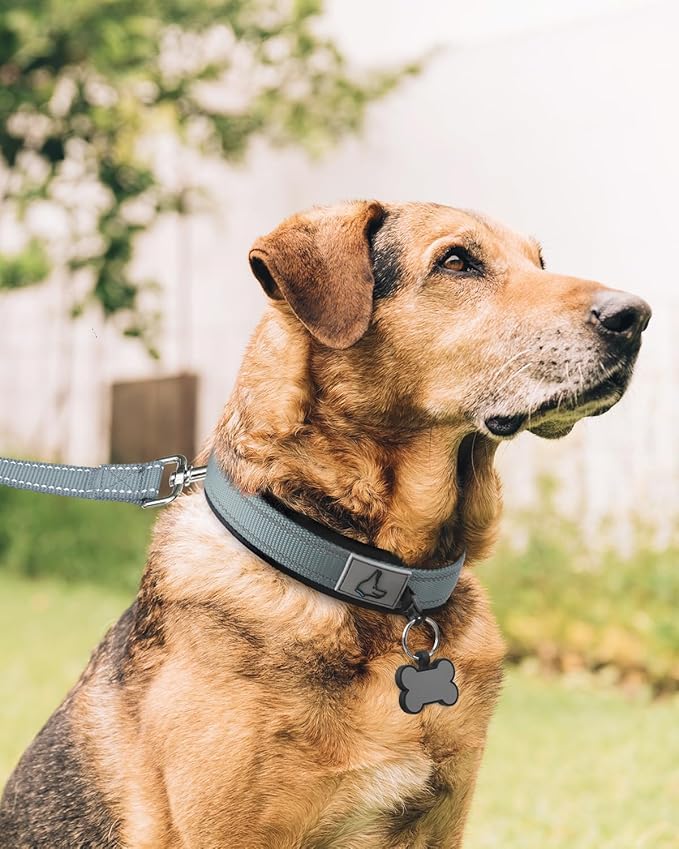 Joytale Dog Collar for Extra Large Dogs, Neoprene Padded and Adjustable, Reflective Wide Heavy Duty Pet Collars with Durable Metal Belt Buckle for Walking, Gray, XL