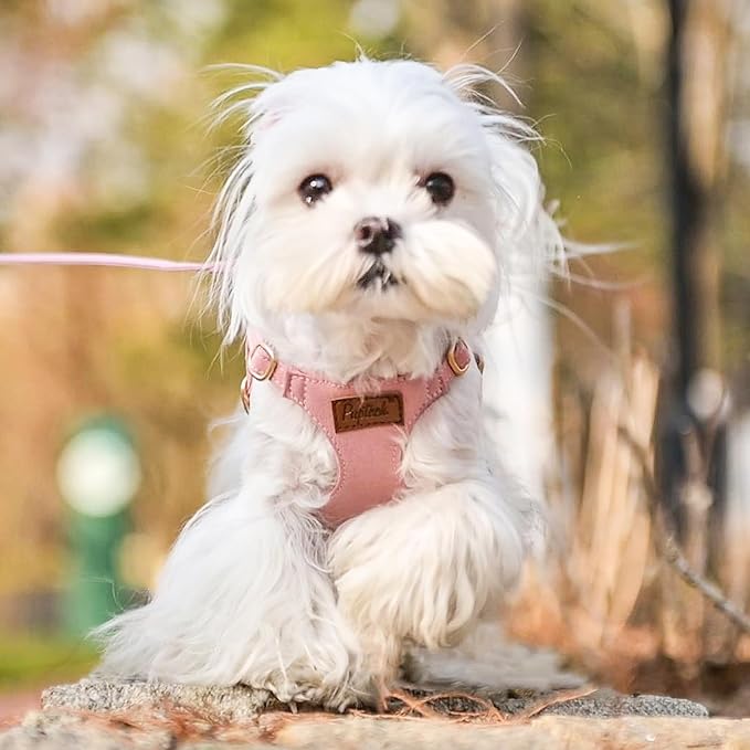 PUPTECK Dog Harness and Leash Set Small Sized, Step-in Cute Puppy Harness, Soft Lightweight Padded Vest, Escape Proof No Pull Pet Harnesses Easy for Walking, Pink, XS