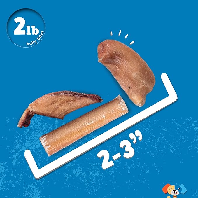 Jack&Pup Premium Dog Chews - Bites & Bully Sticks | Gullet Jerky (2lb, Medium & Small Dogs, All Natural, Single Ingredient)