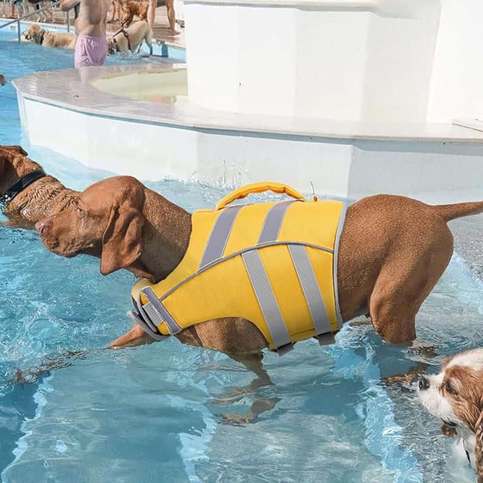 Kuoser Dog Life Jacket with Reflective Stripes - Adjustable High Visibility Vest, Ripstop Lifesaver, Pet Preserver with High Flotation Swimsuit for Small, Medium and Large Dogs