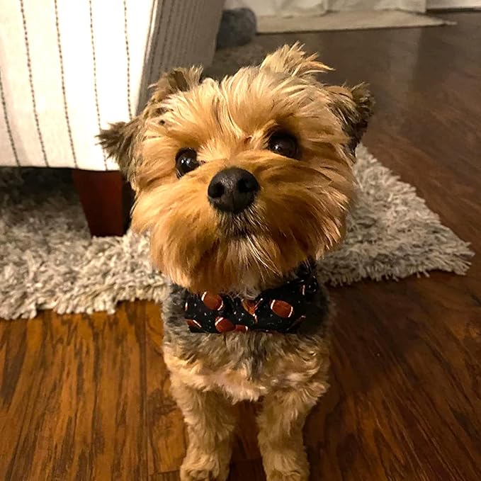 Lionheart Glory Dog Collar Bowtie - Adjustable Cotton Bow for Medium Dogs