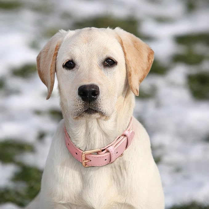 WHIPPY Leather Dog Collar for Small Medium Large Dog Adjustable Soft Breathable Leather Padded Puppy Collar with Alloy Buckle Heavy Duty Waterproof Classic Dog Pet Collar,Pink,M