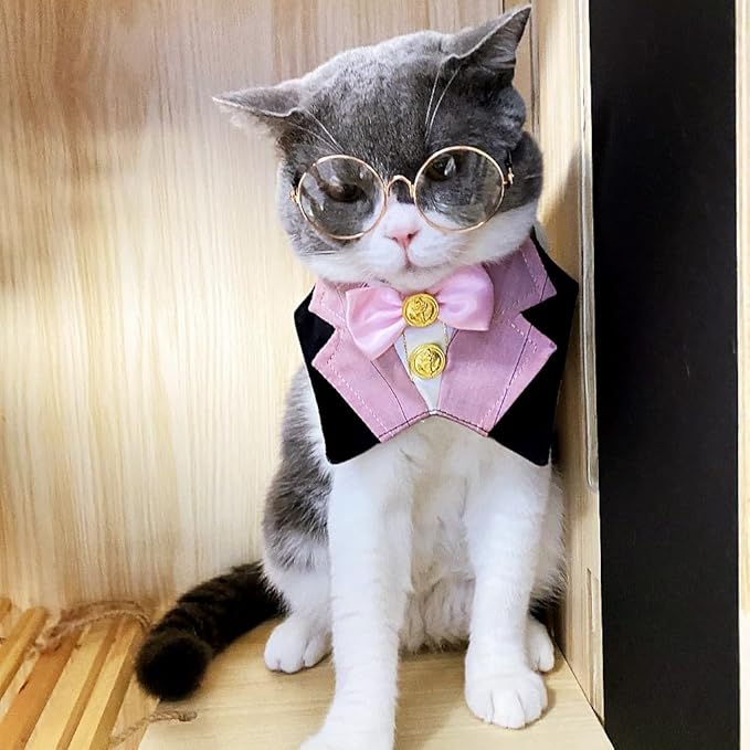 Dog & Cat Formal Wedding Bandana Collar with Bow Tie & Sunglasses (Pink)