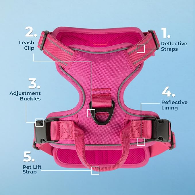 No Pull Dog Harness for Large Dogs, Dual Leash Attachments, Adjustable Soft but Strong Pet Harness with 3M Reflective Technology, Fuchsia Nylon, XL (Chest: 28-37")