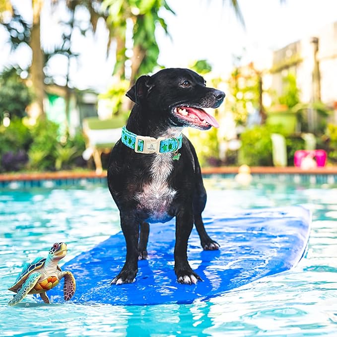 Lionheart glory Dog Collar Blue Sea Turtles Dogs Collar Spring Summer Cute Collars Dog Boy or Girl Soft Durable Adjustable Collars for Small Dogs Pet Gift