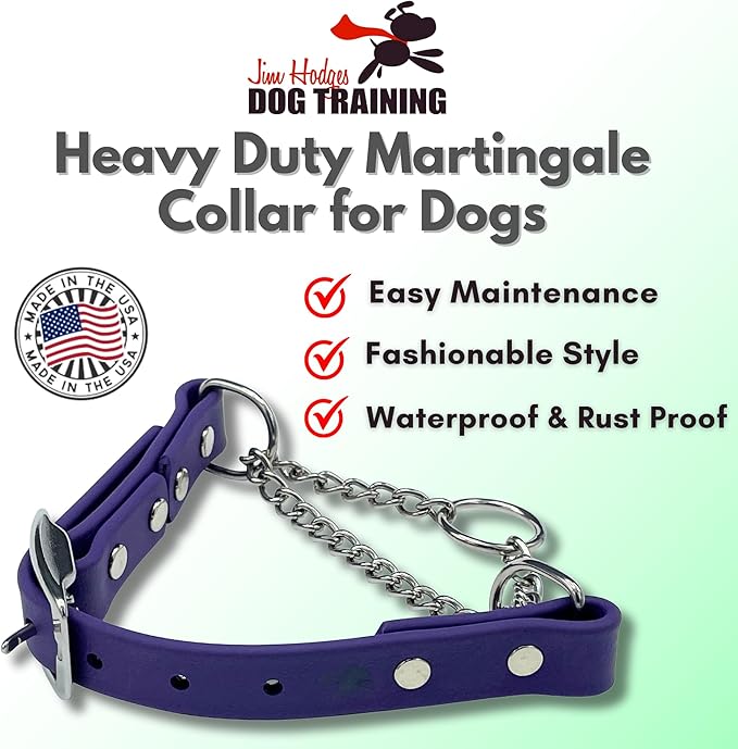 Martingale Collar for Dogs, Biothane, Stainless Steel Hardware, No Pull, Made in The USA, Professional Grade, Medium, Purple