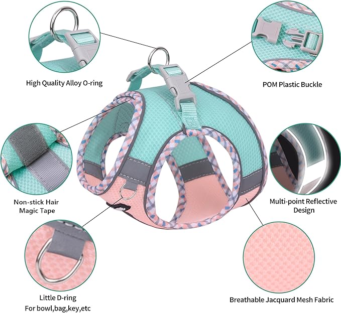 AIITLE XXS Dog Harness & Leash Set - Breathable Reflective No-Choke Small Dog Harness for Teacup Puppies, Indoor/Outdoor Use - Boston Terrier, Maltese, Chihuahua (Turquoise-Pink, XXS)